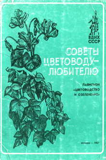 Советы цветоводу-любителю