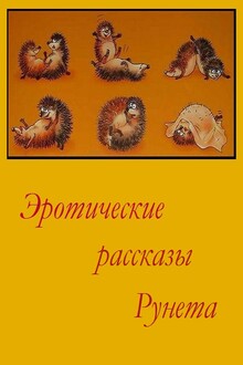 Эротические рассказы Рунета. Том 1