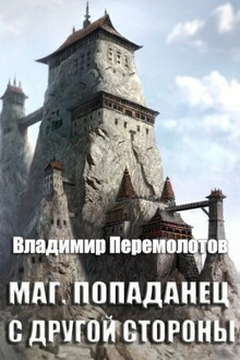 Маг. Попаданец с другой стороны [СИ]