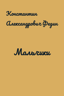 Мальчики
