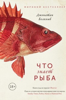 Что знает рыба