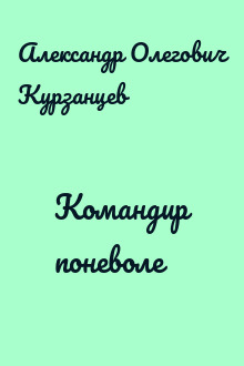 Командир поневоле
