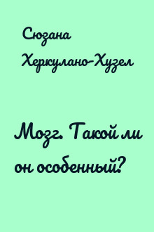 Мозг. Такой ли он особенный?
