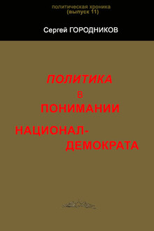 Политика в понимании национал-демократа
