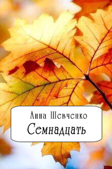 Семнадцать(СИ)