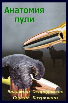 Анатомия пули