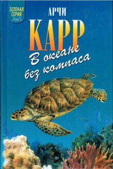 В океане без компаса