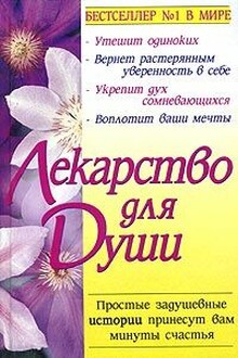 Куриный бульон для души