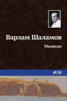 Медведи