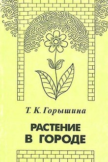 Растение в городе