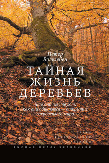 Тайная жизнь деревьев. Что они чувствуют, как они общаются – открытие сокровенного мира