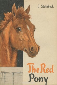 Рыжий пони