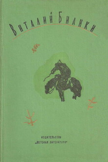 Очерки, рассказы, статьи, дневники, письма