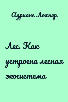 Лес. Как устроена лесная экосистема