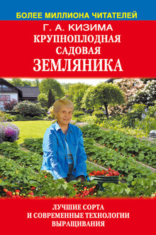 Крупноплодная садовая земляника