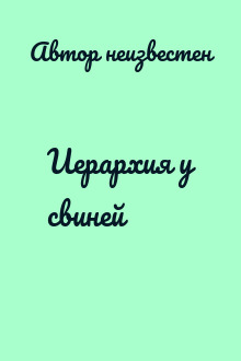 Иерархия у свиней