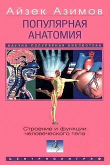 Популярная анатомия. Строение и функции человеческого тела