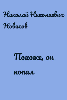 Похоже, он попал