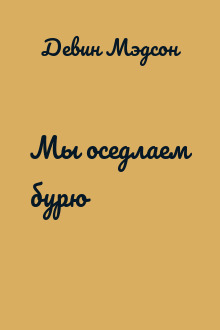 Мы оседлаем бурю