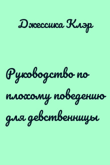 Руководство по плохому поведению для девственницы
