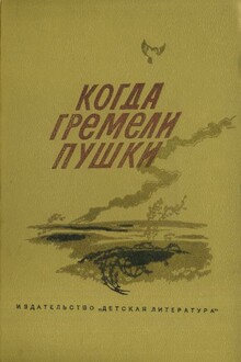 Когда гремели пушки