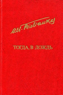 Тогда, в дождь