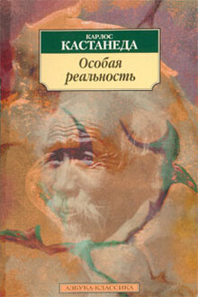 Особая реальность