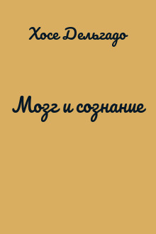 Мозг и сознание