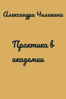 Практика в академии