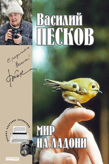Мир на ладони